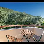 Omalia アパート *