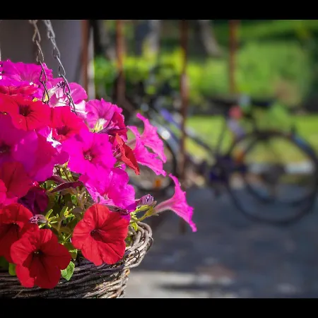 Διαμέρισμα Omalia *