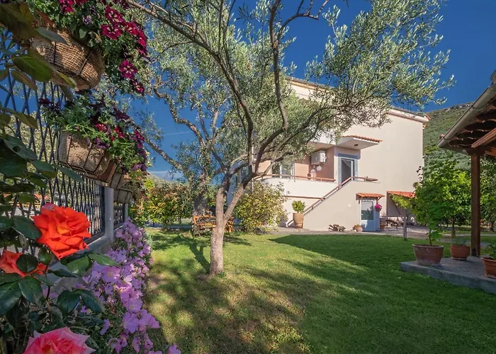 Omalia * Πρίνος